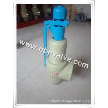 Auto Pressure Safety Valve (A48Y)